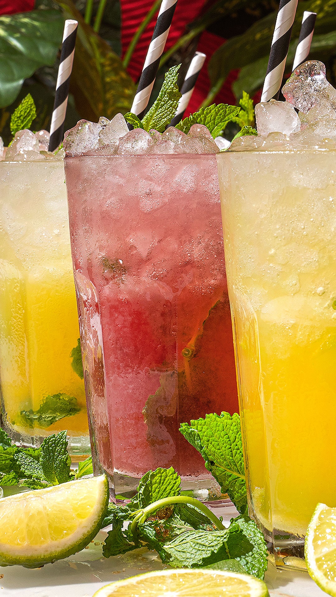 esquinita_del_mojito